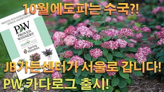 10월에도 수국을 볼수있다?! JB가든센터 서울 정원박람회로 갑니다!! feat. PW브로셔 출간 #정원박람…
