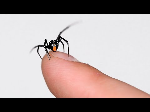 WDOWY - FAKTY I MITY!