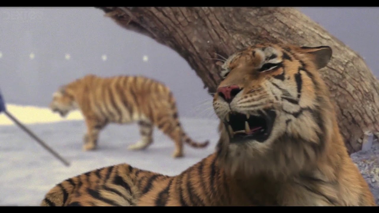 ‘타이거 마운틴’ VFX 쇼릴