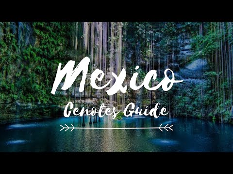 6 CENOTES YOU SHOULD VISIT IN MEXICO