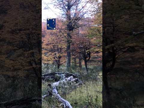 OTOÑO EN EL CERRO BENÍTEZ EN PUERTO NATALES