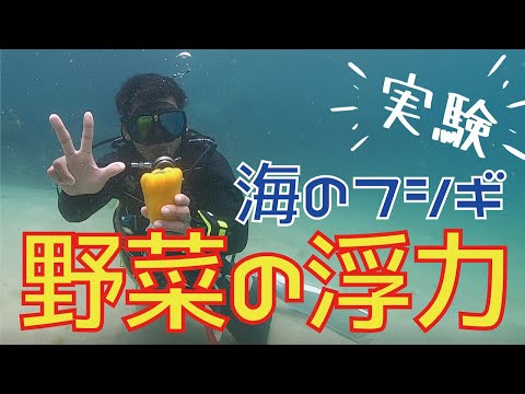 パラヒヤ水中について詳しく解説