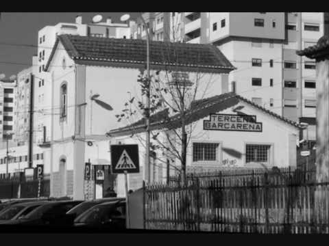 No1  - Marley o FumadOr