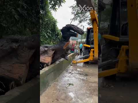 Emergencia en Venadillo (Tolima) por desbordamiento de la quebrada Galapo