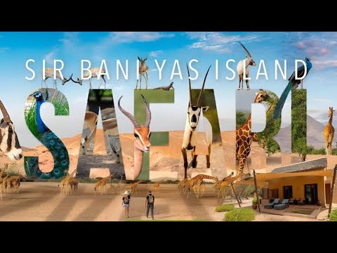 Sir baniyas island safari / Arabian Wildlife Park / abu dhabi #petcreationchemmanoor