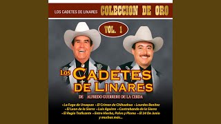 Corrido De Los Perez
