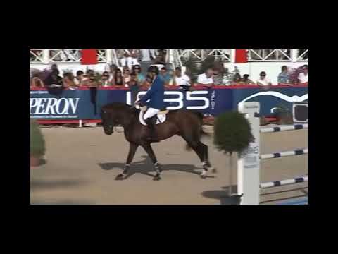 Vancouver D'Auray, Stallion, Fullbrother of Toulon