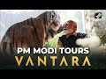 PM Modi Inaugurates Tours Anant Ambani S Vantara Rescue Centre In Gujarat