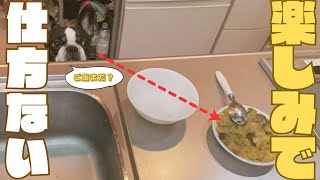 ご飯が待ち遠しい愛犬🐶