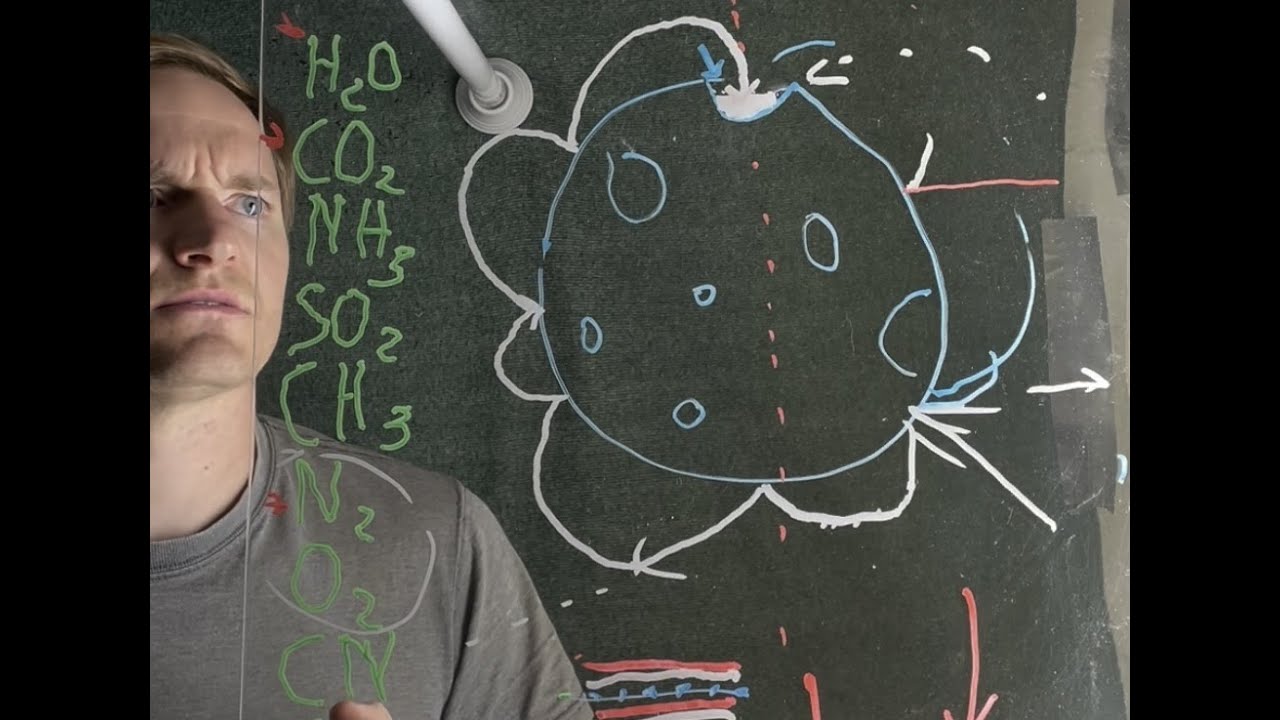 What Secrets are Frozen in The Moon’s Ice?