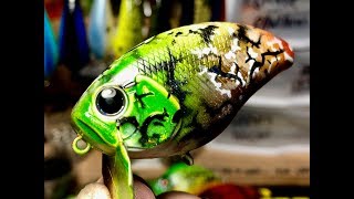 JBCo. Spray Session: Fall Camo Madness!!