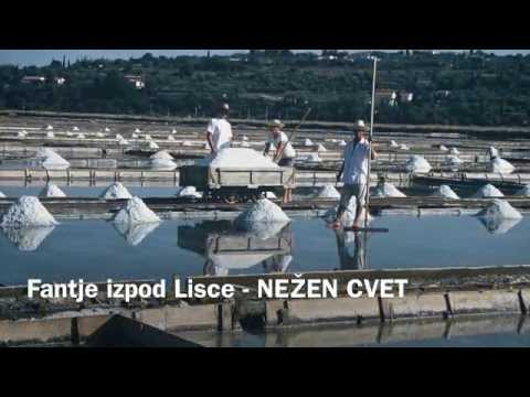 Fantje izpod Lisce - Nežen cvet NOVO 2014