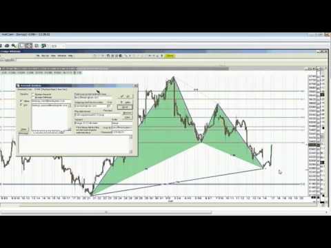 Jun 17th Trade What You See with host Larry Pesavento   2013