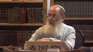 הרמזים שבשבע הספירות של שבע שבועות ספירת העומר – הרב אורי שרקי