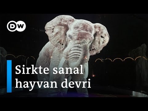 Sirkte hayvanların yerini hologramları aldı - DW Türkçe