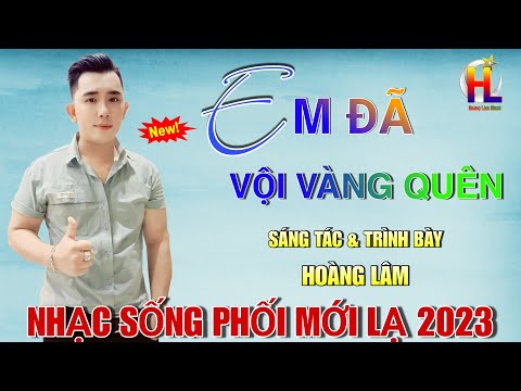 Em đã vội vàng quên - Hoàng Lâm