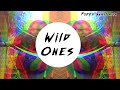 Wild Ones Poppy Anastasia
