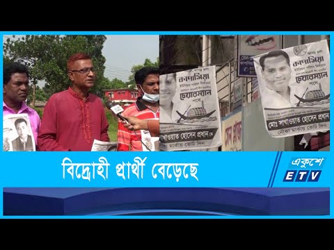 বিদ্রোহী প্রার্থী বেড়েছে ক্ষমতাসীন আওয়ামী লীগে
