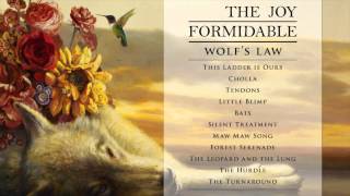 The Joy Formidable - The Leopard and the Lung [Official Audio from Wolf's Law]