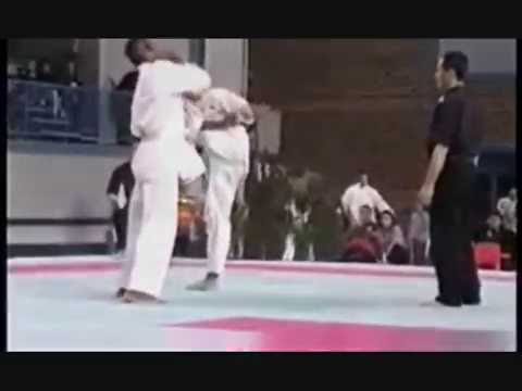 Fabrice Fourment Kyokushin by Moc