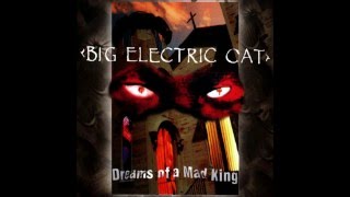 Big Electric Cat - Winter Room