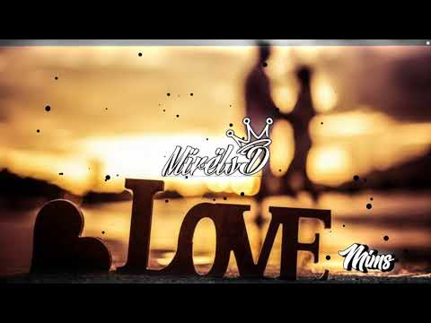 •|LEXUS x SHA|• •|Against The World|•