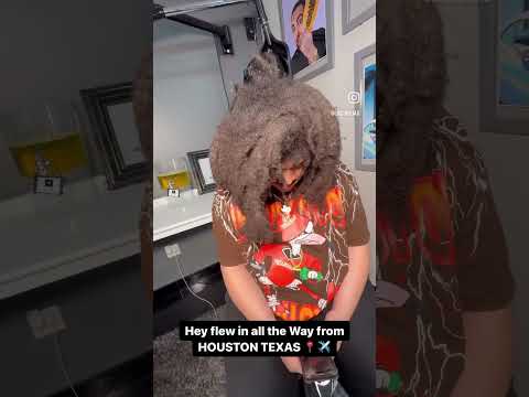 Freeform Locs Transformation #dreadjourney #freeformdreads #dreadlocks #locstyles #shorts