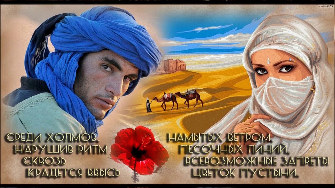 Восток дело тонкое Восток дело тонкое