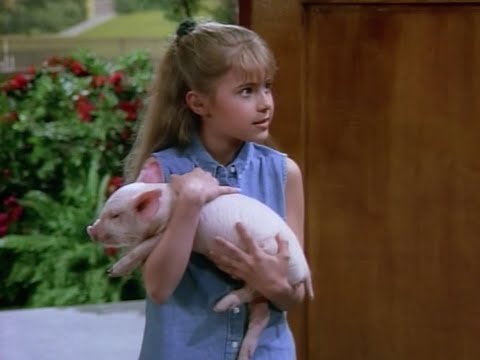 Al Lambert in Step By Step - S01E01 - "Pilot" starring Christine Lakin