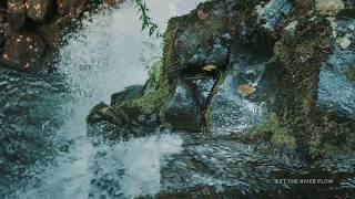 Let the River Flow