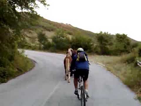 Palombi Girola salita del Catria