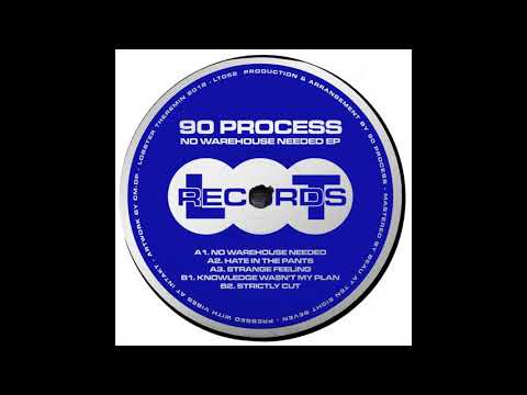 90 Process - Hate In The Pants [LT052]