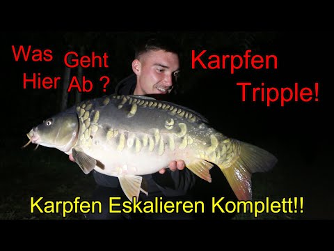 Jackson fängt das Karpfen tripple! Spiegel Schuppen und Graskarpfen! Die Fische eskalieren komplett!