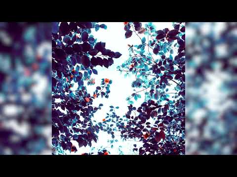 Joseph Goldstein – Insight Hour – Ep. 41 – Freeing the Mind