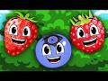 Which Berries Grow On Bushes? | Songs For Kids | KLT