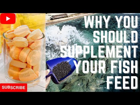 How to Supplement your feed with vitamin.