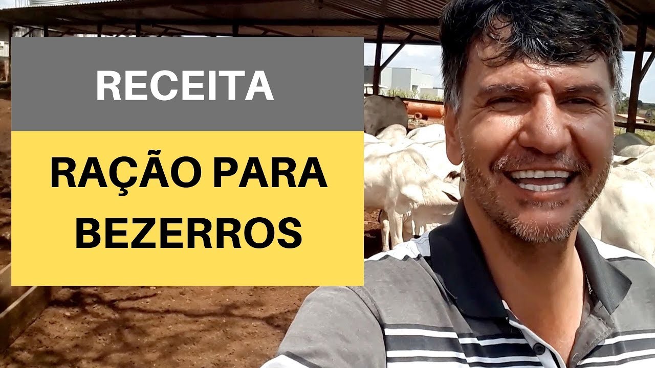 APRENDA A FAZER  UMA RAÇÃO BARATA PARA BEZERROS
