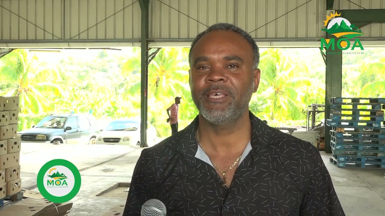 MINISTRY OF AGRICULTURE PROVIDES SUPPORT TO BANANA AND