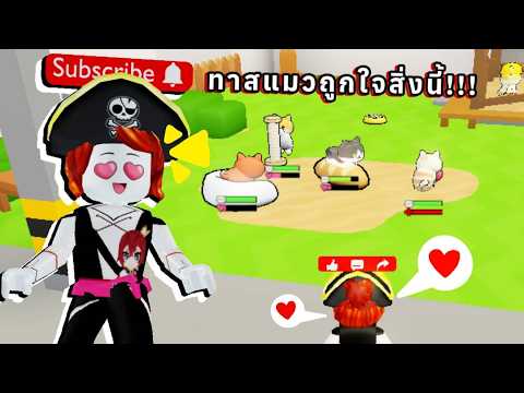 Roblox : Care for Cats 😻 มาดูแลเจ้าเหมียวจรจัดกัน ! (ทาสแมวถูกใจสิ่งนี้)