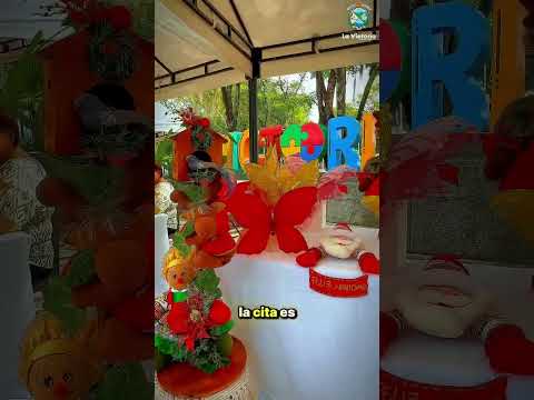 Ven y disfruta del Mercado Campesino 🧺🌽🍅