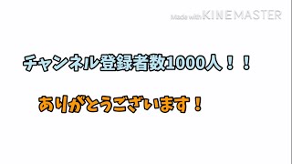 登録者数1000人突破ありがとうございます！