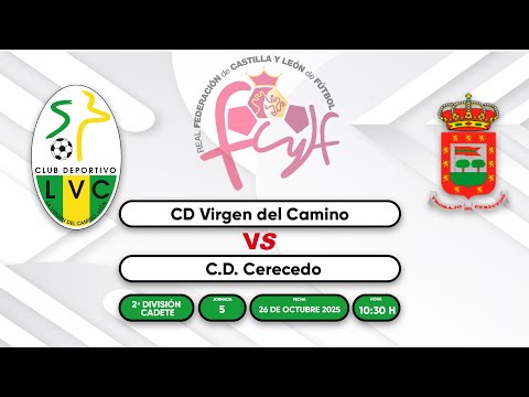 C.D. La Virgen del Camino - C.D. Cerecedo (2ª División Provincial de Cadetes)