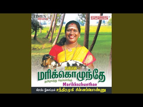 Marikkozhunthe