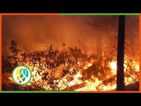 Fuerzas combinadas controlan incendio en La Palma