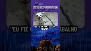 Você foi um herói 🫡