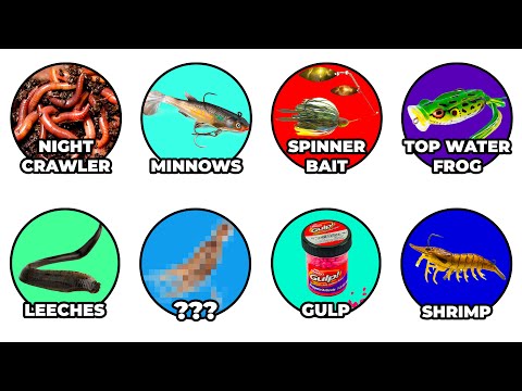 Every Fishing Bait Explained
