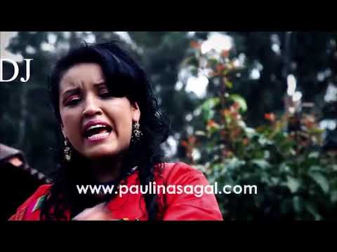 Chicha con clase (DAVID VDJ)