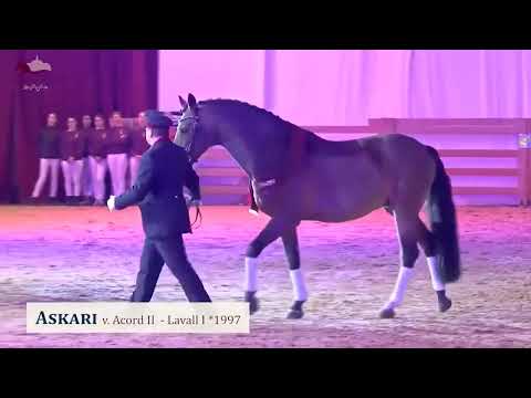 Askari v. Acord II - Lavall I - Cor de la Bryere