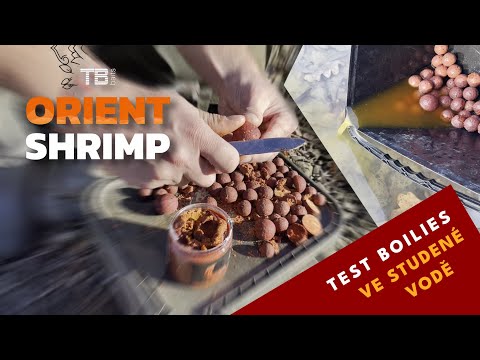 KRMENÍ POD LUPOU: Test boilies TB Baits Orient Shrimp ve studené vodě