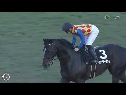 川田將雅 目標必達 25/10/2020 日本京都競馬場 貴船錦標 - 1400米 泥地